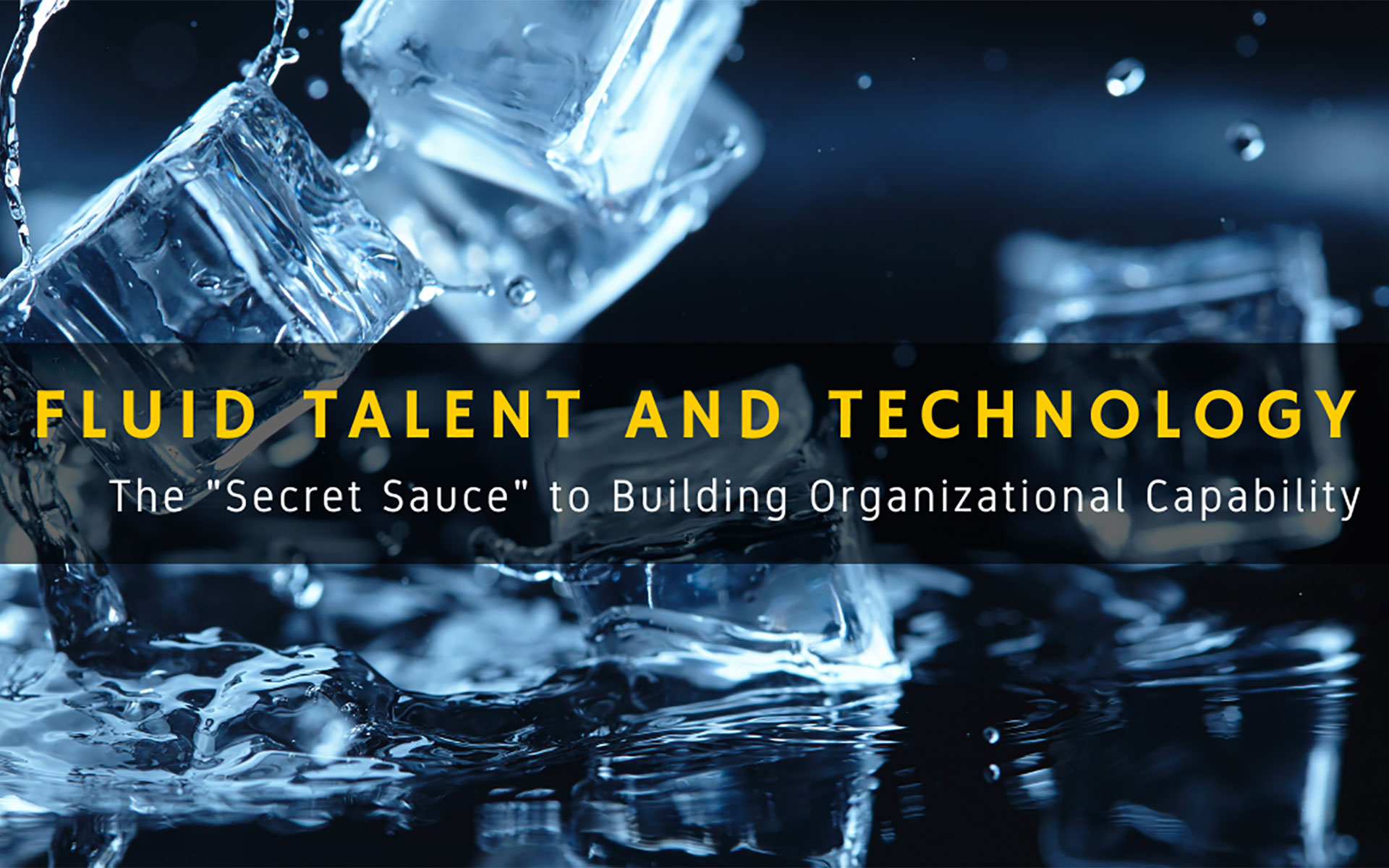 Fluid talent and agile capability: What’s going on?